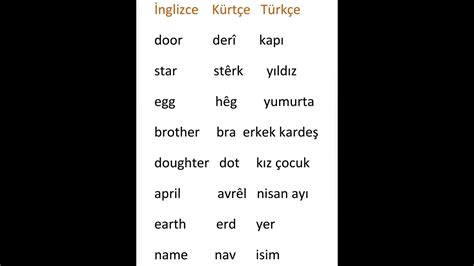 kürtçe rusça ortak kelimeler